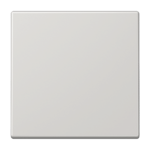 Jung taustiņs
