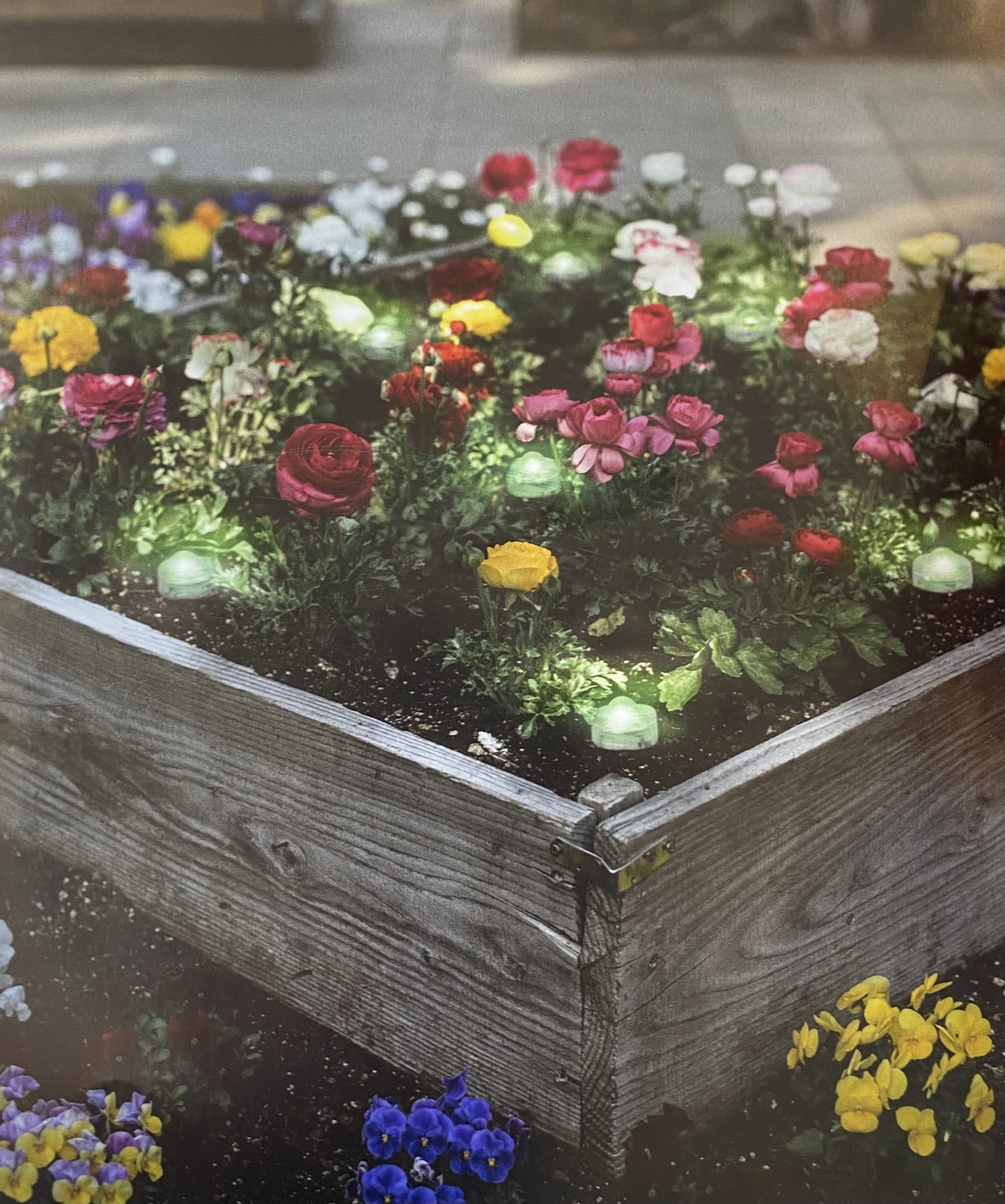 Ledvance SMART+ WIFI GARDEN 18 Dot dārza lampas