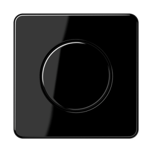 CD Centrālplate regulātoram
