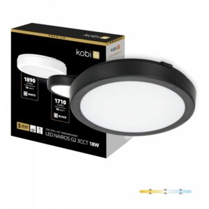 Ceiling lamp Kobi NAIROS G2 18 W Adjustable (CCT) IP65 black | WATTpro