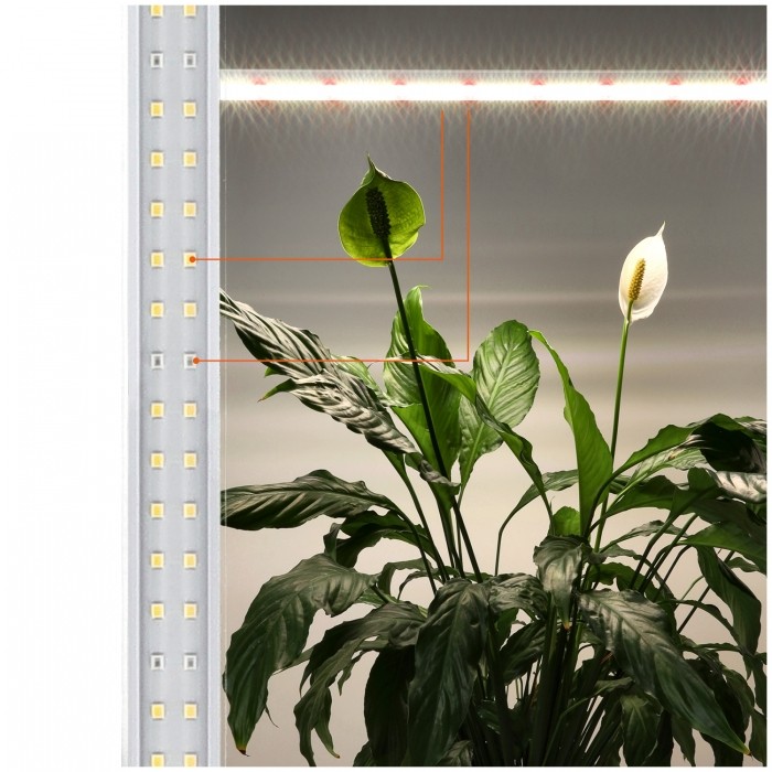 LED plant lamp Kobi GROWLY 15W white | WATTpro