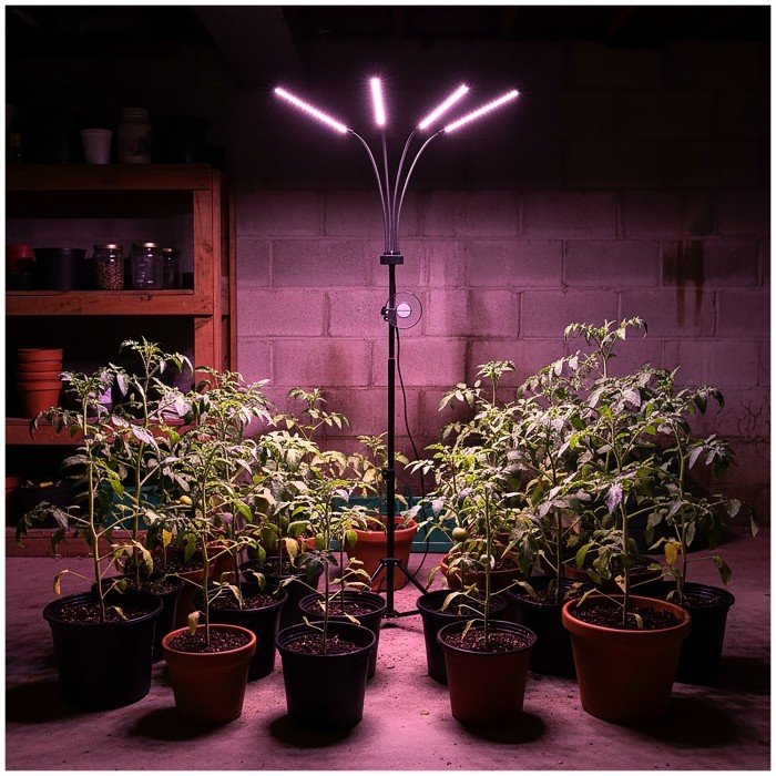 LED augu lampa Kobi VITARO 4 ST 30W ar statīvu melna | WATTpro