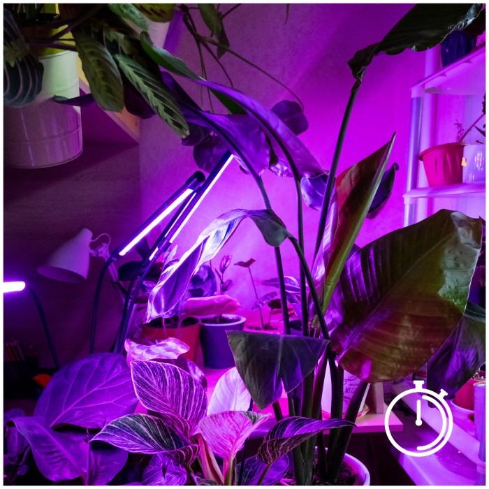 LED plant lamp Kobi VITARO 4 ST MINI 10W with stand black | WATTpro