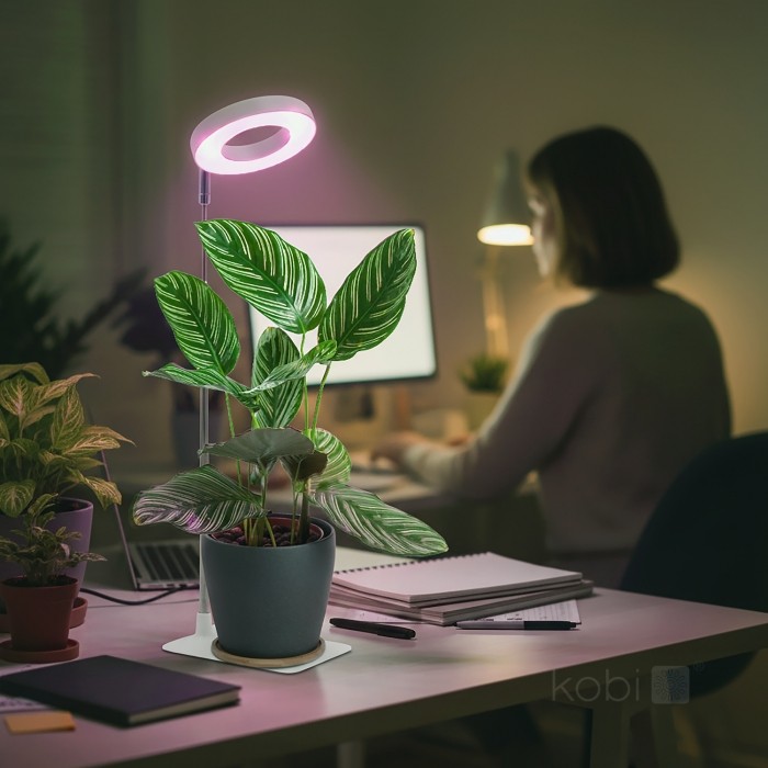 LED augu lampa Kobi VERDI V2 5W 1300K USB, balta