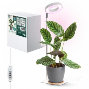 LED plant lamp Kobi VERDI V2 5W 1300K USB white | WATTpro