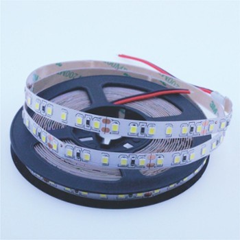 LED lente 4000 K 12 V 4,8W/m IP20 5m rullis