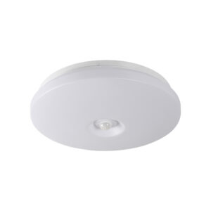 Ceiling light Kanlux FOGLER E 12W NW