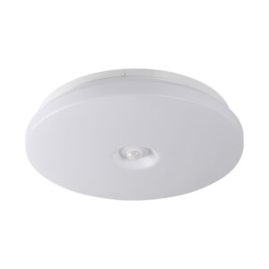 Ceiling light Kanlux FOGLER E 17W NW