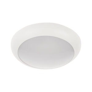 Ceiling light Kanlux DABA AIO M20W W