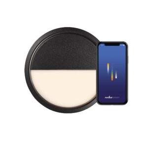 Outdoor ceiling lamp Ava Smart - Nordlux (black)