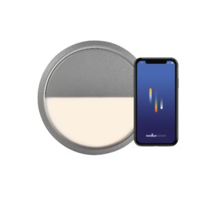Outdoor ceiling lamp Ava Smart - Nordlux (grey)