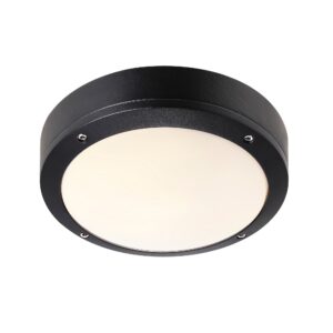 Outdoor ceiling lamp Desi 22 - Nordlux (black)