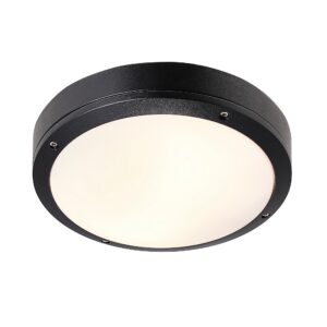 Outdoor ceiling lamps