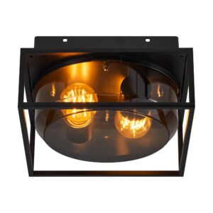 Outdoor ceiling lamp Griffin - Nordlux (smoky)