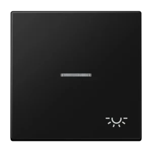 Jung Rocker with symbols and illuminated window LS 990, graphite black, matt