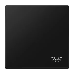 Jung Rocker with symbols LS 990, graphite black, matt