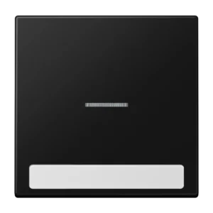 Jung Rocker with illuminated window LS 990, graphite black, matt